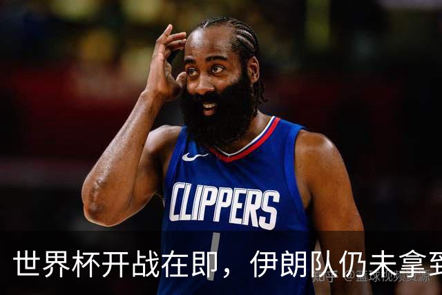 世界杯开战在即，伊朗队仍未拿到美国签证