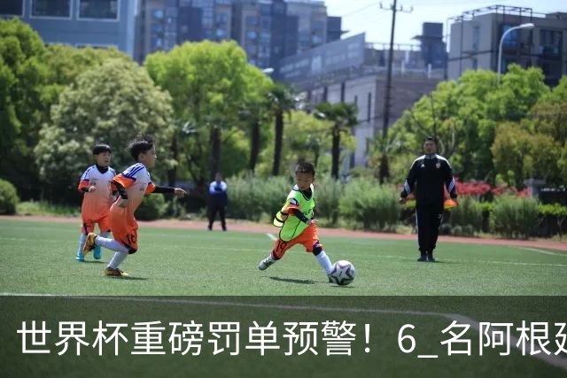 世界杯重磅罚单预警！6 名阿根廷球员或遭禁赛，决赛直接缺席