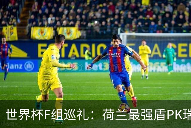 世界杯F组巡礼：荷兰最强盾PK瑞典犀利刀 日本短板明显