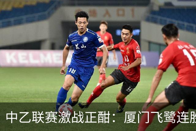 中乙联赛激战正酣：厦门飞鹭连胜在望，泰山B队面临危机