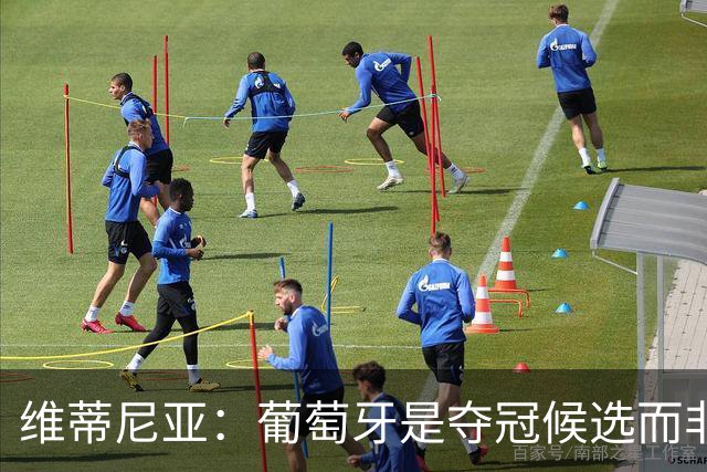 维蒂尼亚：葡萄牙是夺冠候选而非热门 C罗以他的方式奉献自己